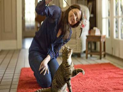 Benefits Of Playing With Your Cats