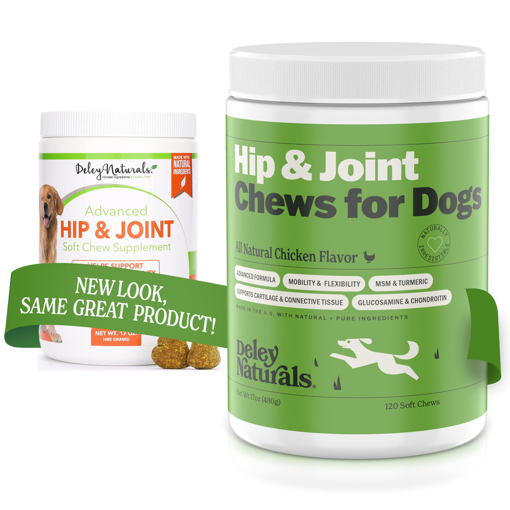 Hip dysplasia outlet supplements