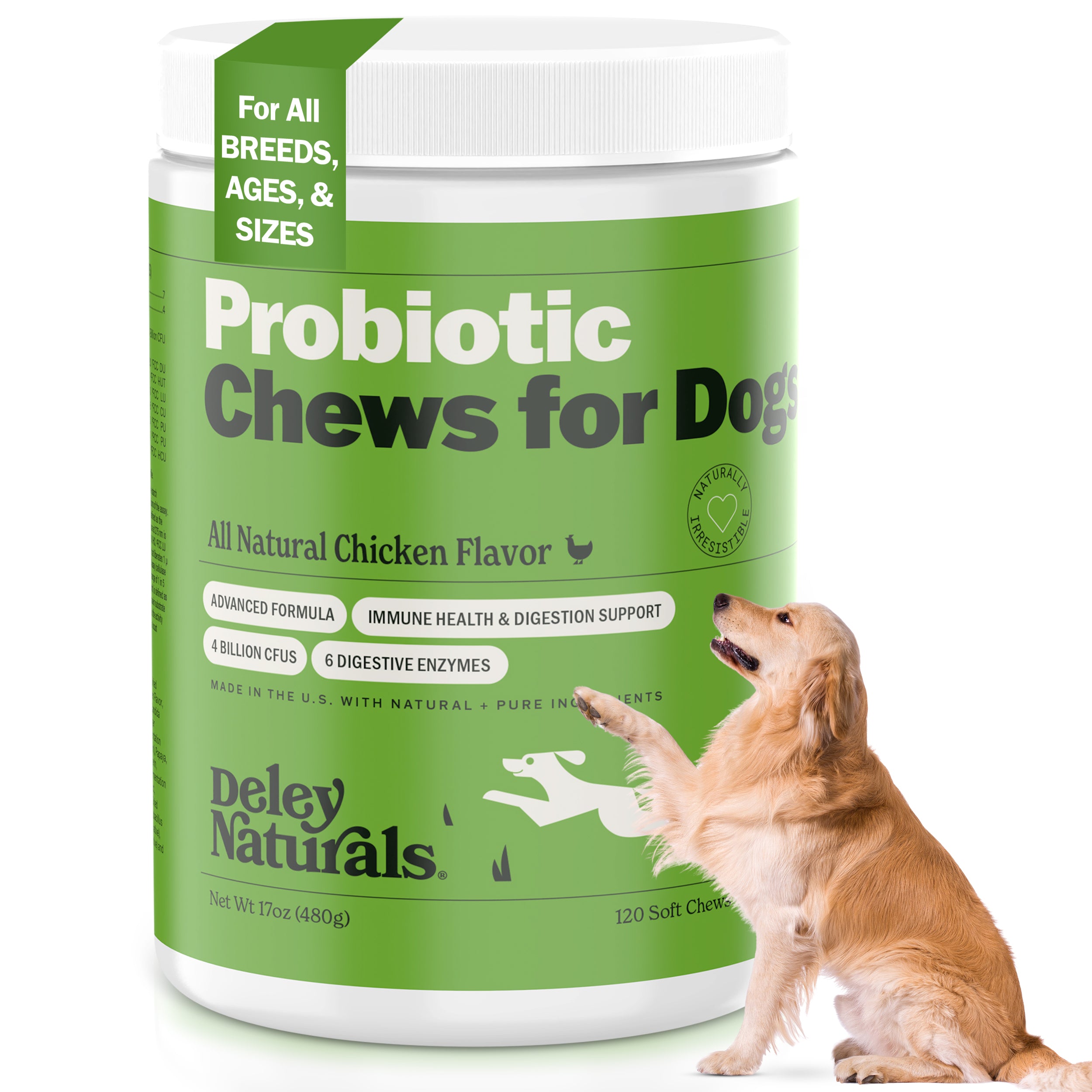Probiotic Supplement for Dogs