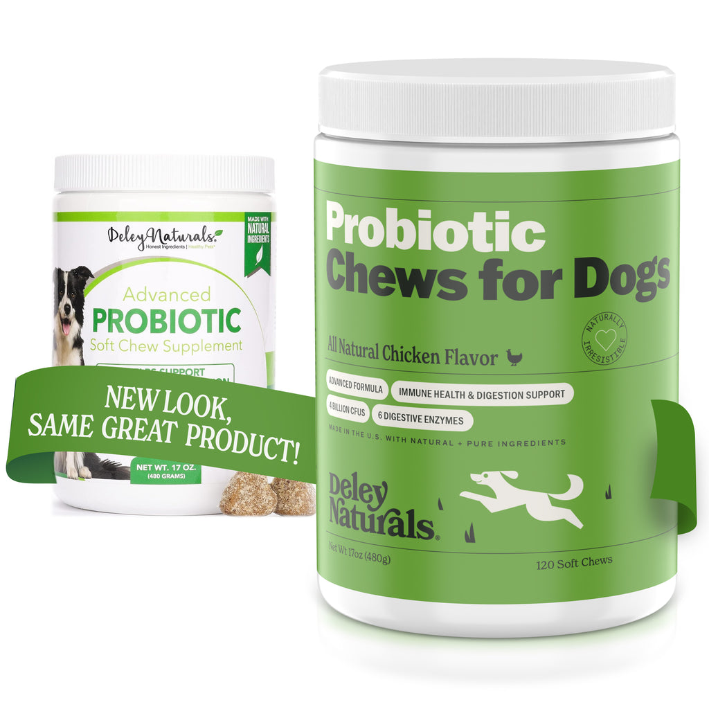 Deley naturals shop probiotics for dogs