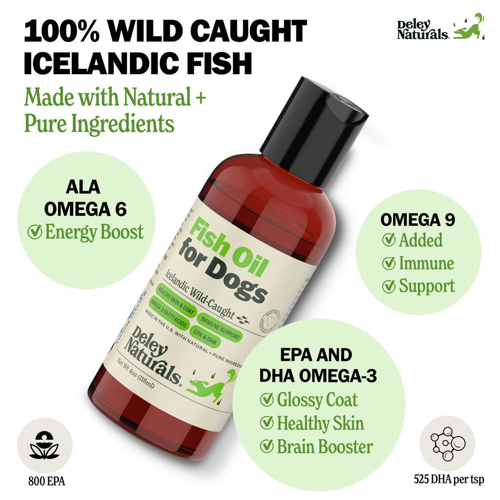 Natural fatty acids outlet for dogs