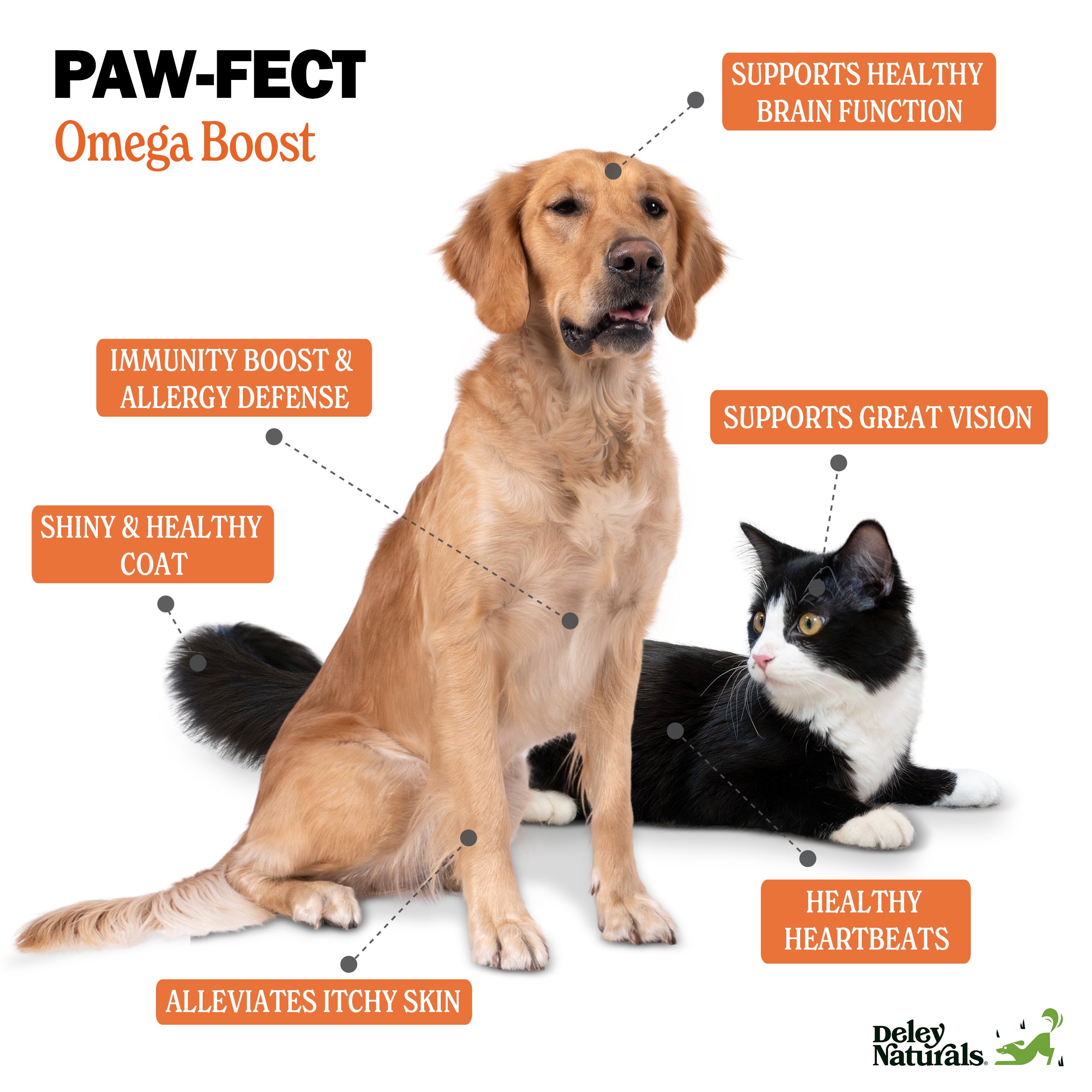 Alaskan Wild-Caught Salmon Oil + Formula for Dogs & Cats 16 oz & 32 oz Pump