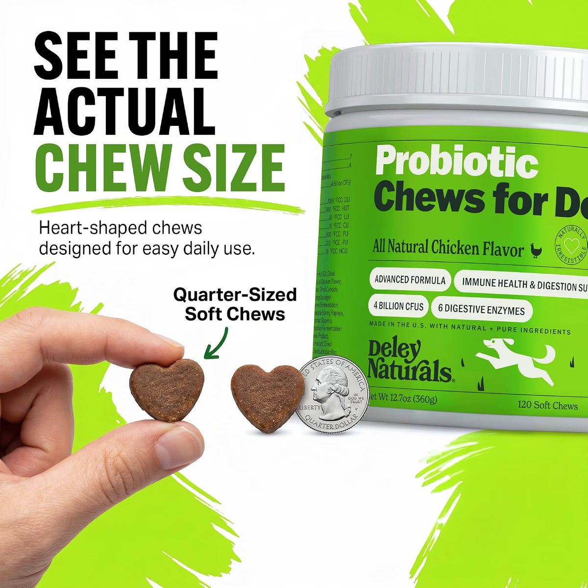 Probiotic Supplement for Dogs