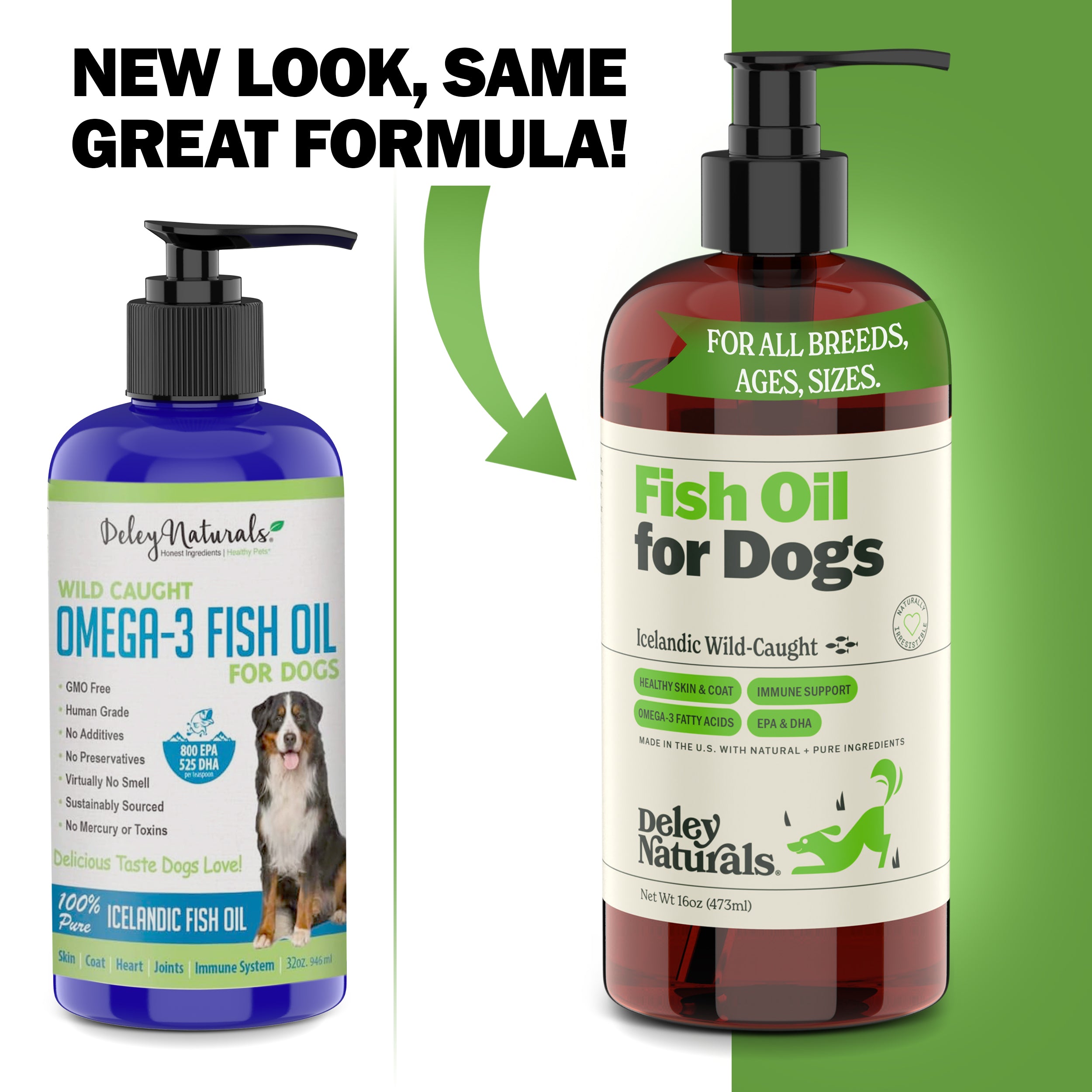 Epa and dha for dogs best sale