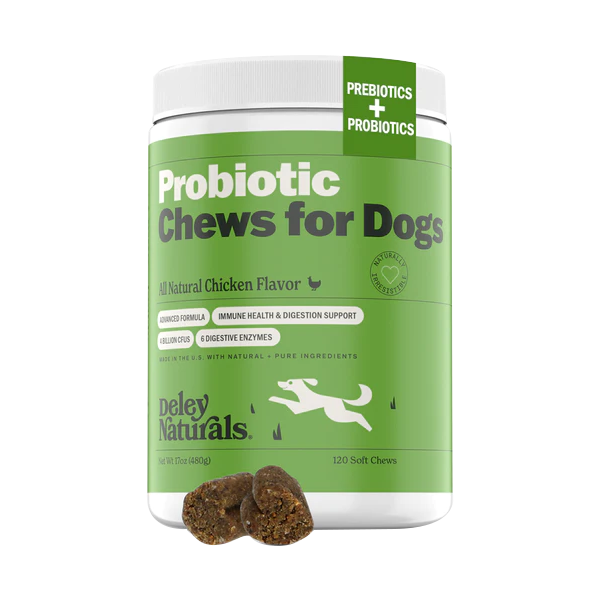 Probiotic Supplement for Dogs
