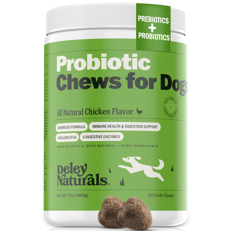 Dog food with prebiotics and probiotics sale