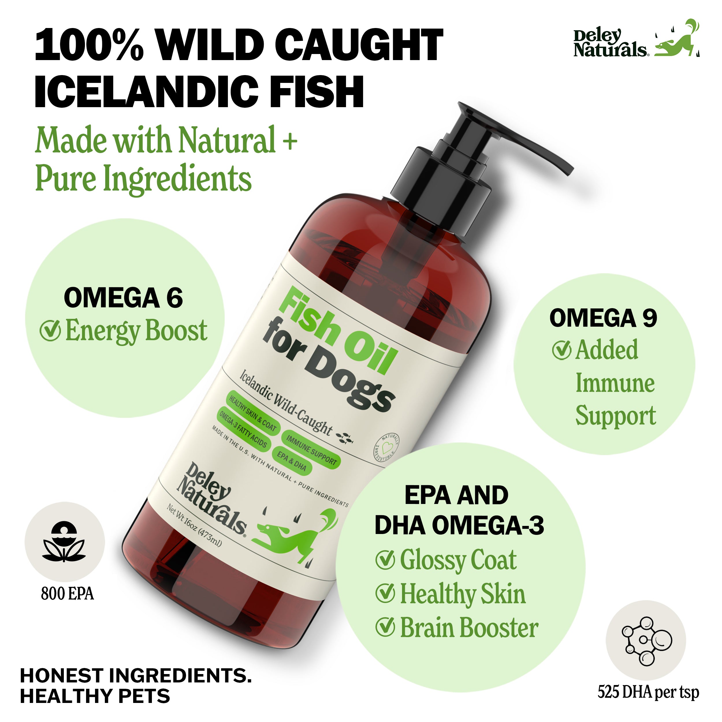 Icelandic Wild-Caught Omega 3 Fish Oil for Dogs - 16  oz Pump