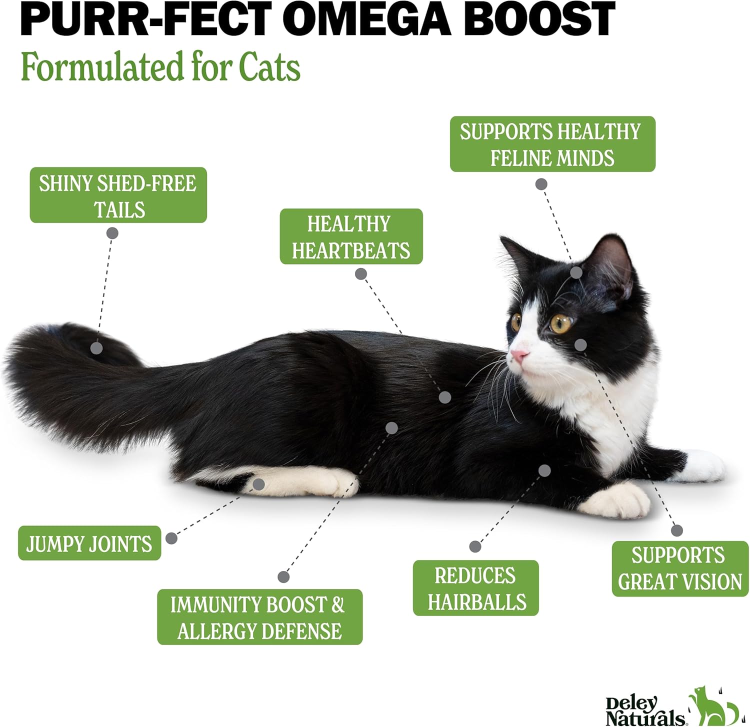 Icelandic Wild-Caught Omega 3 Fish Oil for Cats – 16 oz Pump