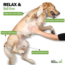 Calming Supplement for Dogs