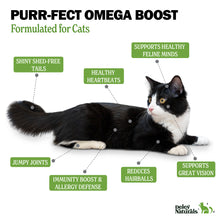 Icelandic Wild-Caught Omega 3 Fish Oil for Cats – 16 oz Pump