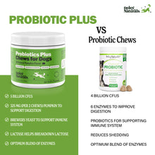 -Probiotics Plus Supplement for Dogs - NEW!