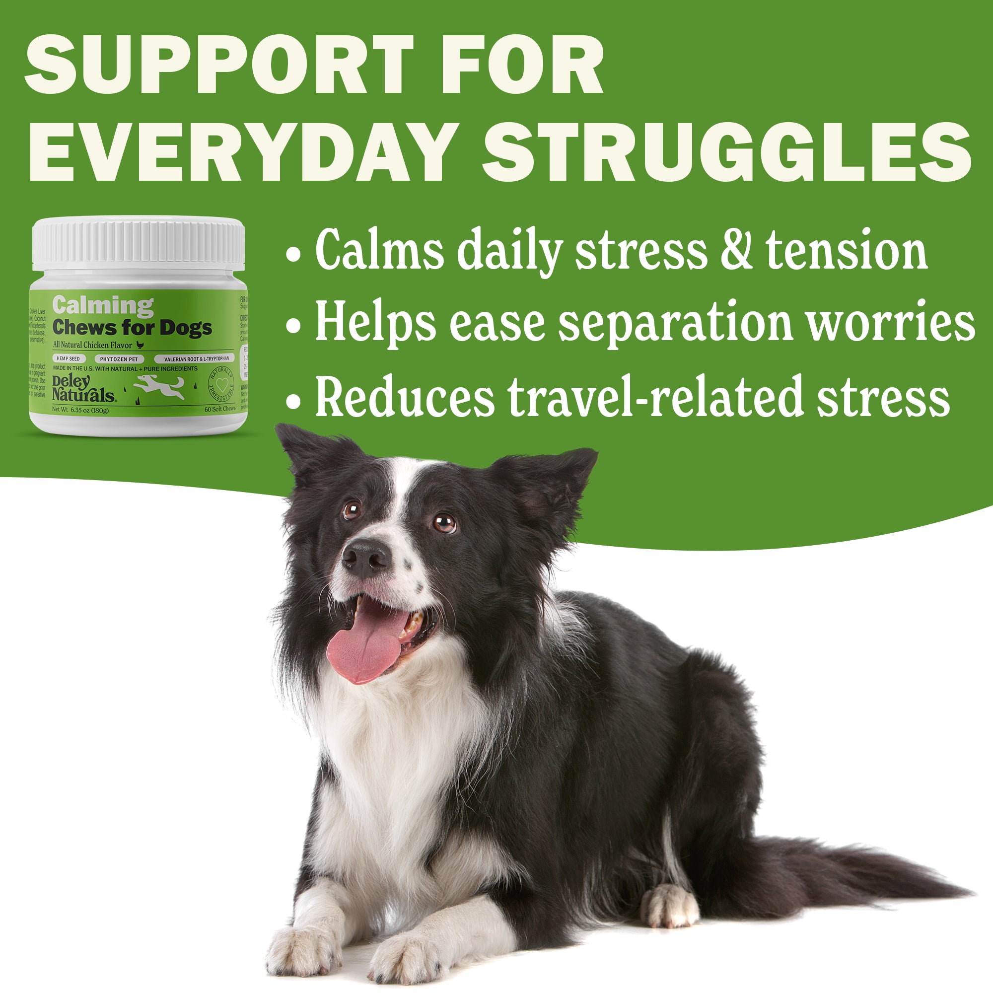 Calming Supplement for Dogs