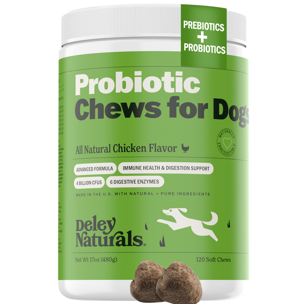 Probiotic Supplement for Dogs - Main Image