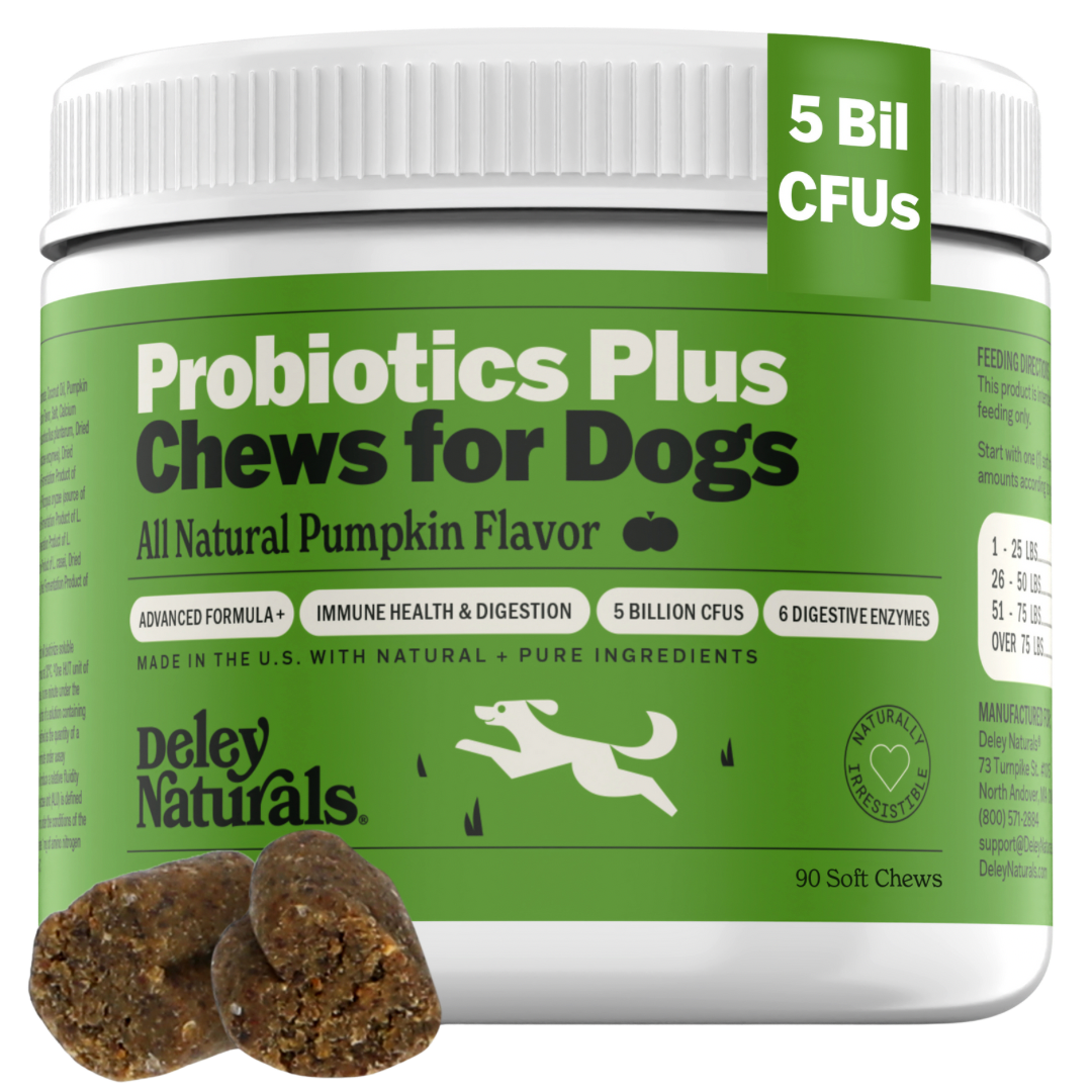 Probiotics Plus Supplement for Dogs