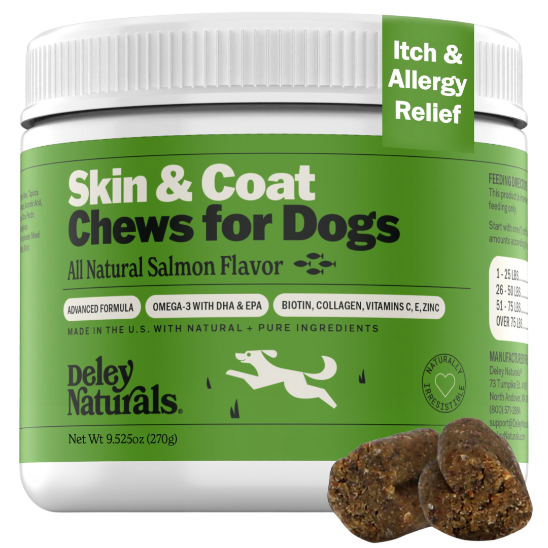 Skin & Coat Supplement for Dogs